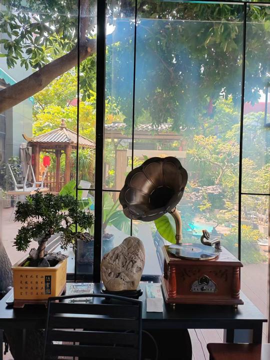 留声机与盆景